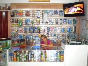 Tienda3